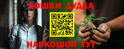 индика Анжеро-Судженск