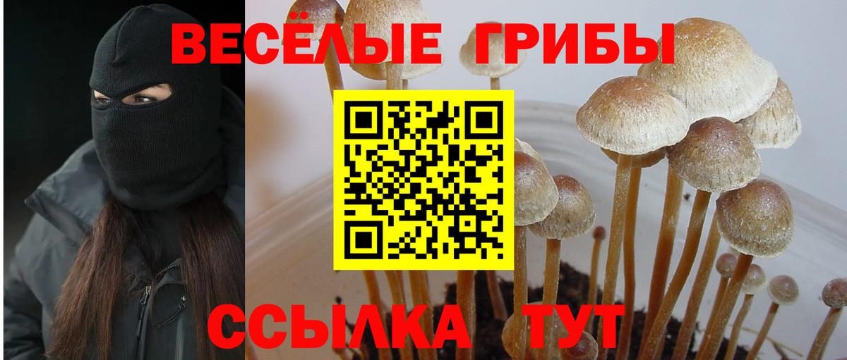 Псилоцибиновые грибы GOLDEN TEACHER  Вход с VPN  Балабаново 